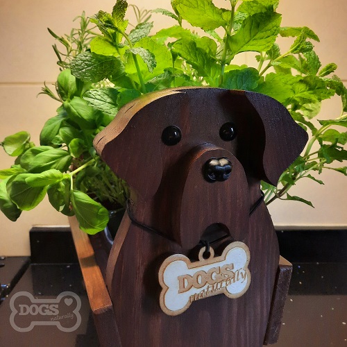 Wooden Dog Fresh Herb Stand (Labrador)